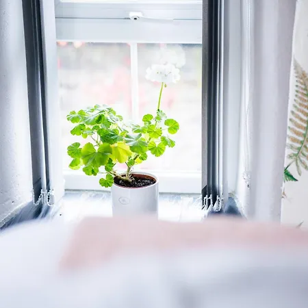 Stone Barn Skibbereen