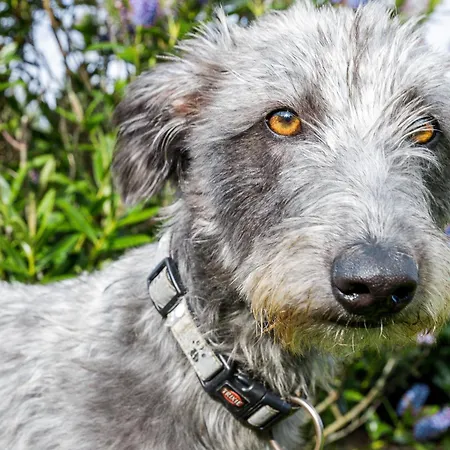 Stone Barn Skibbereen