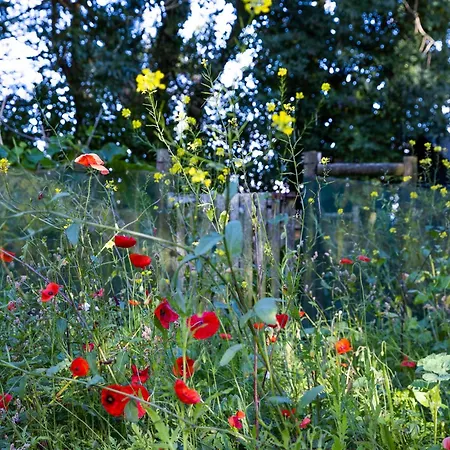Stone Barn Skibbereen