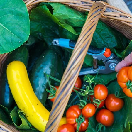 Gasthuis Stone Barn 3*