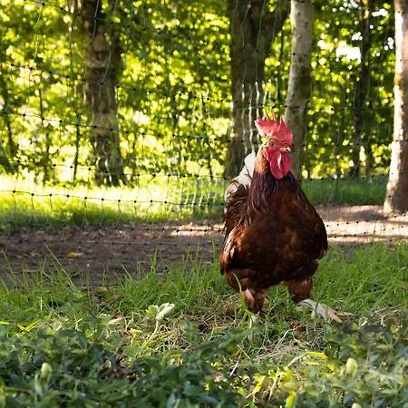 Gasthuis Stone Barn 3*