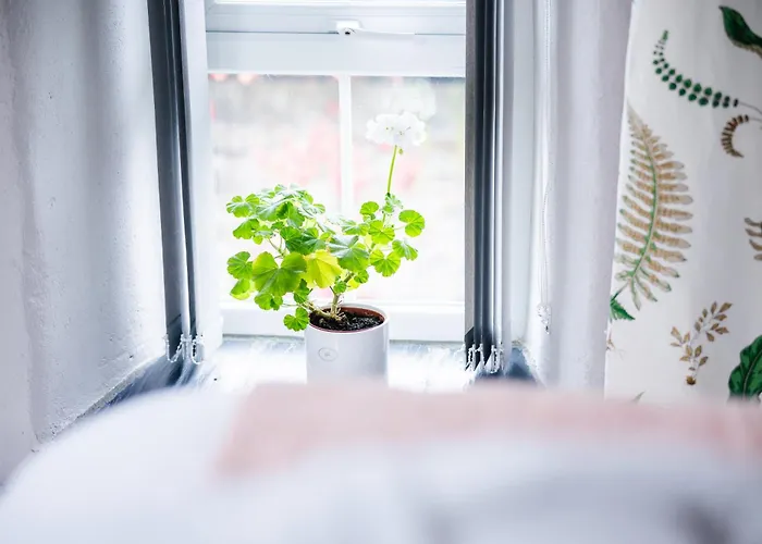 Stone Barn Skibbereen