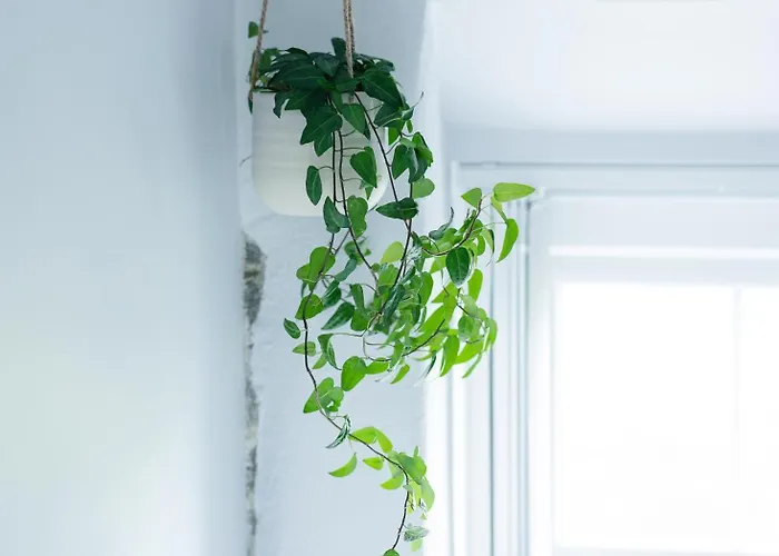 Affittacamere Stone Barn