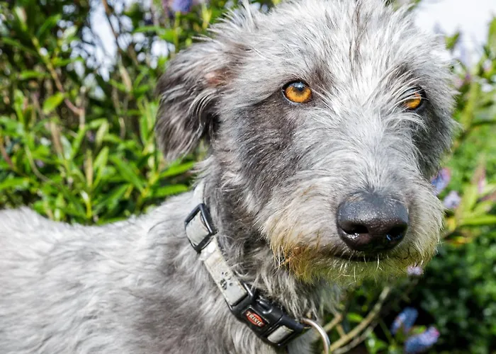 Stone Barn Skibbereen