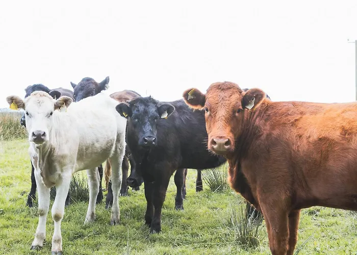 Stone Barn Affittacamere 3*