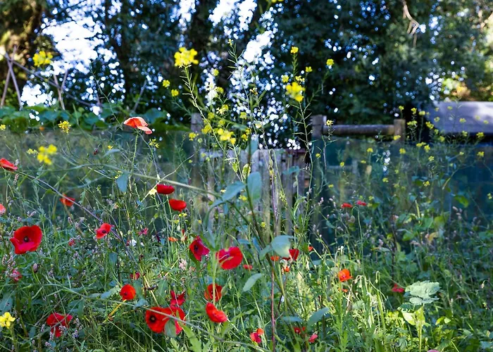 Stone Barn Skibbereen