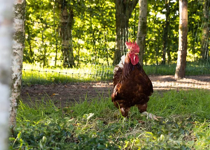 Affittacamere Stone Barn 3*